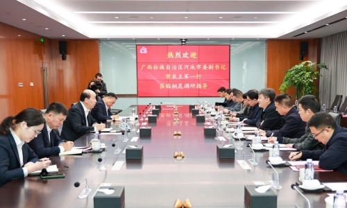 廣西壯族自治區(qū)河池市委副書記、市長(zhǎng)王軍蒞臨桐昆