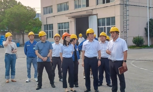 桐鄉(xiāng)市委書記于會游蒞臨集團恒隆公司調(diào)研