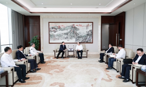 通用技術高新材料集團有限公司董事長、黨委書記莊小雄一行蒞臨桐昆調研