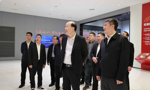 廣西壯族自治區(qū)河池市委副書(shū)記、市長(zhǎng)王軍蒞臨桐昆調(diào)研