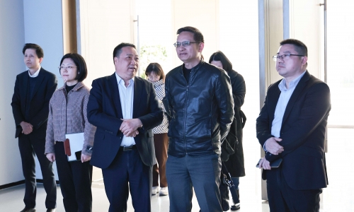 浙江省經信廳投資處調研員屠國富蒞臨桐昆調研
