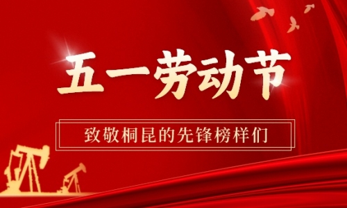 勞動(dòng)最美丨致敬桐昆的先鋒榜樣！